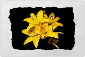 Poszterek 120x80 Sárga liliom csokor