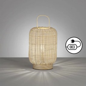 Fischer&Honsel Nature 50738 Asztali lámpa 1x25W/E14 IP20