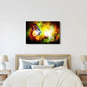 Kép - Kozmikus pillangó (90x60 cm)