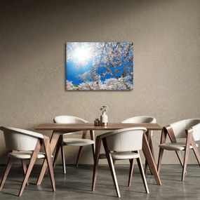 Kép - Cseresznyevirág (70x50 cm)