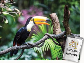 Fotótapéta Flizelina Madarak Tukán Egzotikus dzsungel 350x250 ragasztó