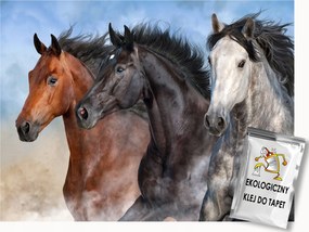 Fotótapéta Flizelina Természet Állatok Lovak Elegancia 200x140 ragasztó