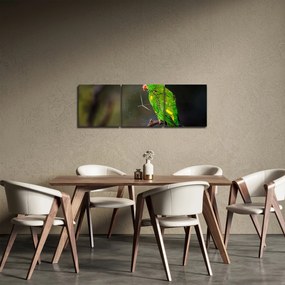 Papagáj egy ágon képe (órával) (90x30 cm)