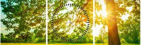 Kép - Sunny Forest (órával) (90x30 cm)