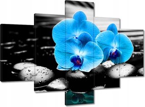 Vászonkép 100x70 Türkiz orchidea Virág