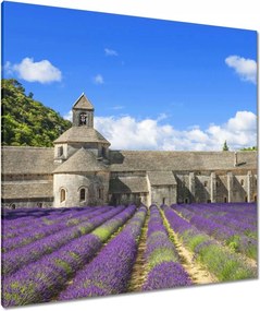 Vászonkép 90x90 Francia Provence és a levendula