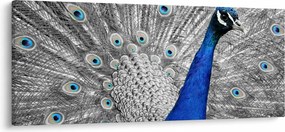 Kék páva képe (120x50 cm)