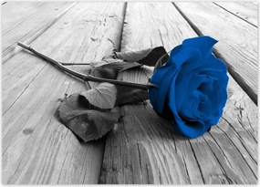 Poszterek 70x50 Kék rózsa a deszkákon