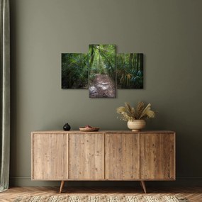 Kép - Napsugarak a dzsungelben (90x60 cm)