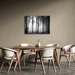 Kép - Farkas a sötét erdőben (70x50 cm)