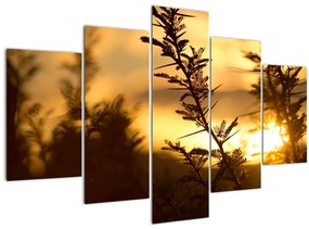 Kép - A nap lenyugszik a fák mögött (150x105 cm)