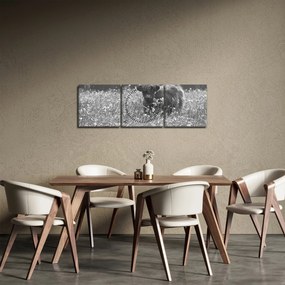 Kép - Skót tehén 5, fekete-fehér (órával) (90x30 cm)