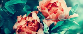 Tavaszi virágok képe (120x50 cm)