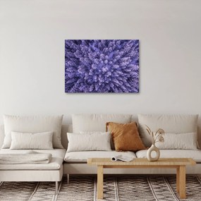 Havas fák képe (70x50 cm)