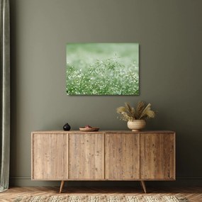 Üveg kép - Reggeli harmat a fűszálakon (70x50 cm)