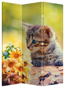 Paraván - Macska ahogy a virágot nézi (126x170 cm)