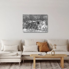 Üveg kép - Róka télen (70x50 cm)
