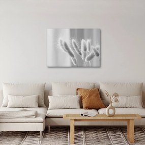 Kép - Nyuszi farok fű (70x50 cm)