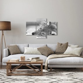 Kép - Farkas, fekete-fehér (90x60 cm)