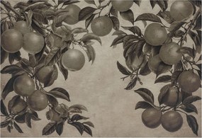 Dekoratív Fotótapéta Hálószobába Gyümölcsös minta 152x104 Ragasztó