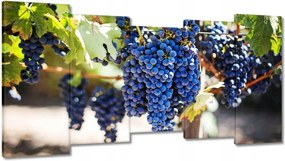 Képek 150x80 Bor Szőlő Szőlőbirtok