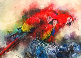 Vörös ara papagájok képe (üvegen) (70x50 cm)