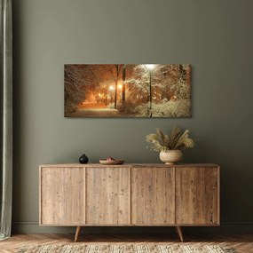 Kép - havas park (120x50 cm)