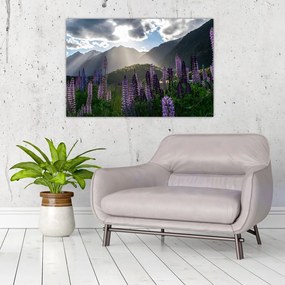 Kép - Csillagfürt táj (90x60 cm)