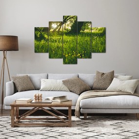 Tájkép - rét (150x105 cm)