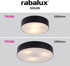 RÁBALUX 75066 DOLEN Modern Kültéri Mennyezeti Lámpa Fekete E27 IP44