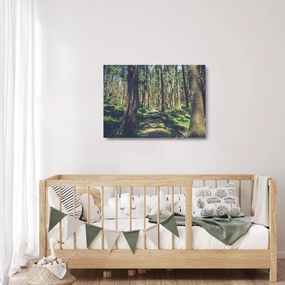 Kép egy út a fák között (üvegen) (70x50 cm)