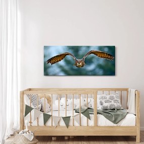 Kép - Bagoly repülés közben (120x50 cm)