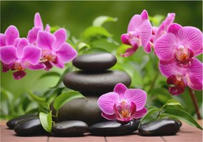 Stílusos Dekoratív Fotótapéta Flizelin Orchidea kövek 312x219 Ragasztó