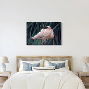 Kép - Flamingó (90x60 cm)