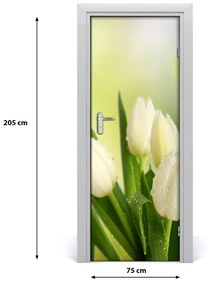 Poszter tapéta ajtóra fehér tulipán 75x205 cm
