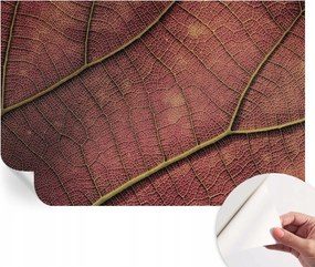 Divatos öntapadós tapéta Fali furnér Leveles textúra 104x70 cm