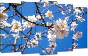 Vászonkép 100x60 Almafa virág