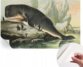 Fotótapéta Öntapadós Fali Falfestmény Tengeri óriás 416x254 cm