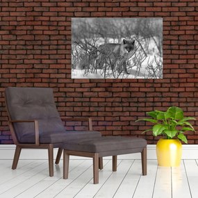 Kép - Róka télen (90x60 cm)
