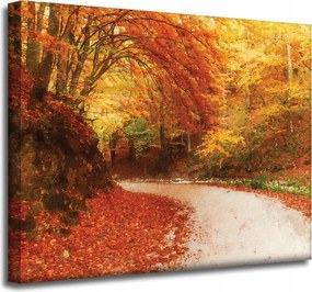 Vászonkép Ösvény az őszi erdőben Színes levelek 50x40 cm