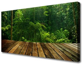 Vászonkép falra Forest Nature Plant 140x70 cm