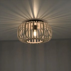 Leuchten Direkt 11412-79 - RACOON mennyezeti lámpa 1xE27/40W/230V, Ø 40 cm