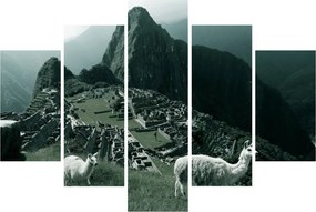 Kép - Lámák a perui Machu Picchunál (150x105 cm)