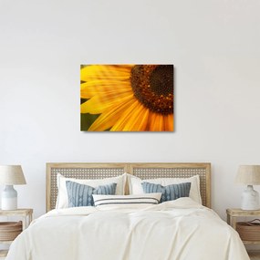 Üveg kép - Napraforgók (70x50 cm)
