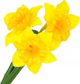 Mesterséges Nárcisz Virágok sárga a temetőben, mint élő csokrok a fej váza