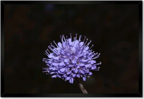 Poszterek keretben 60x40 Nőnap Ajándék Love