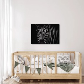 Zebra képe (70x50 cm)