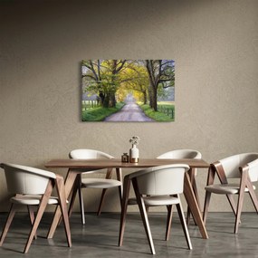 Kép - Smoky, hegység, Gatlinburg, USA (90x60 cm)