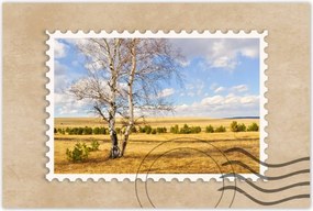 Poszterek 90x60 Nyírfa a mezőn Tájkép