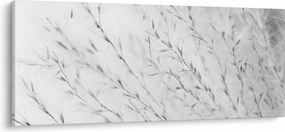 Kép - Pampafű N⁰2 (120x50 cm)
